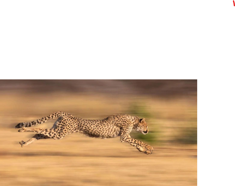 Đoạn Đường Tìm Kiếm Sự Bình Yên Tâm Hồn Ku11