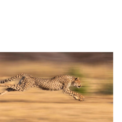 Đoạn Đường Tìm Kiếm Sự Bình Yên Tâm Hồn Ku11